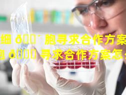 干细 🐴 胞寻求合作方案（干细胞 🍁 寻求合作方案怎么做）